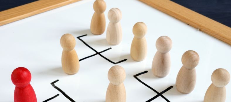 Business Structure Consulting